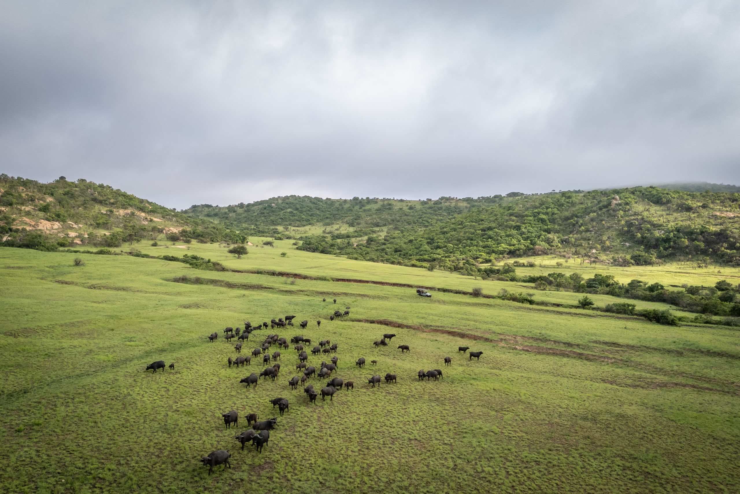 Protect Babanango — photo 25 of 32