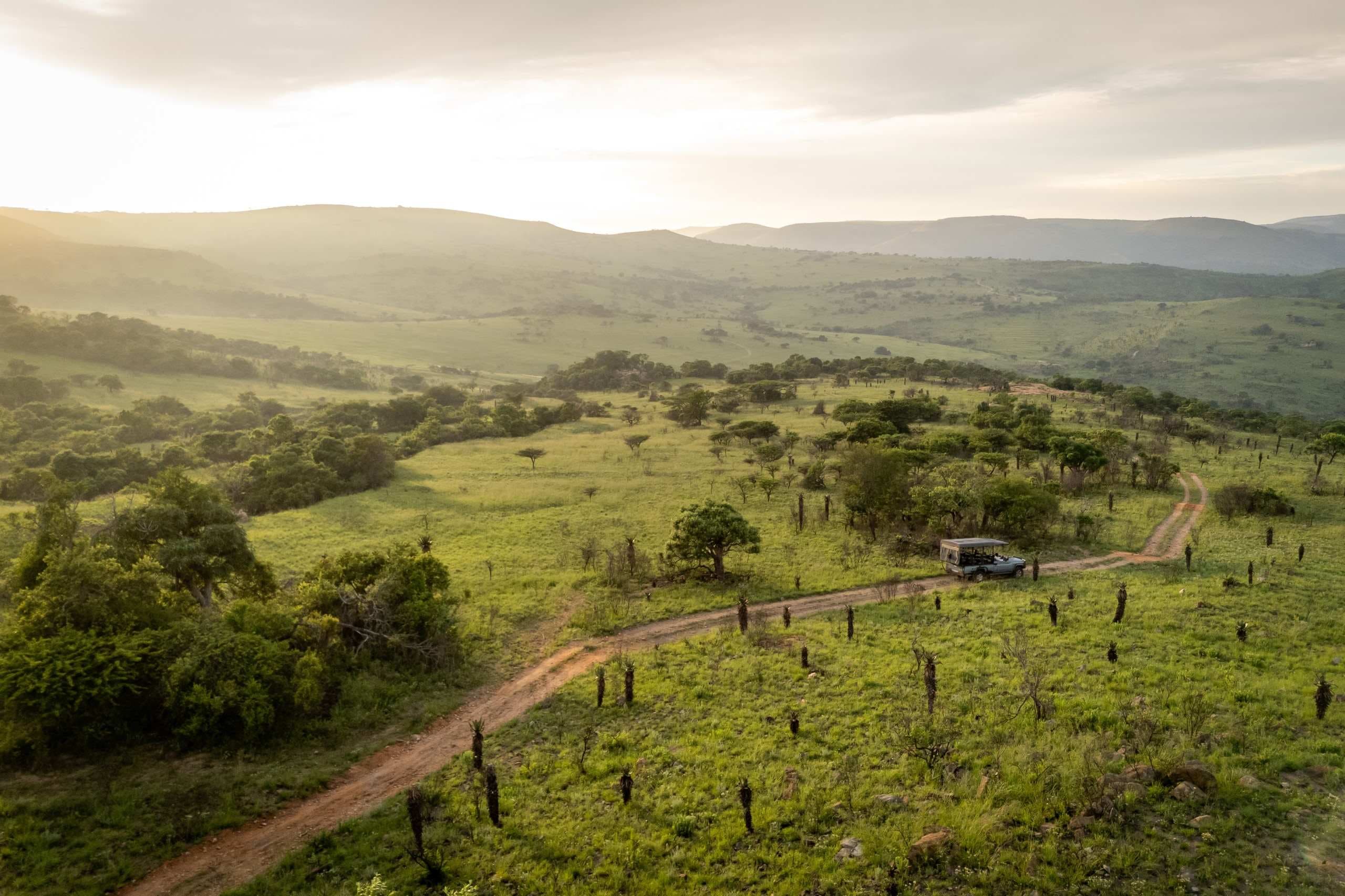 Protect Babanango — photo 21 of 32
